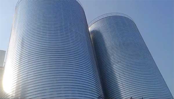 青羊2座混凝土高架卷板仓